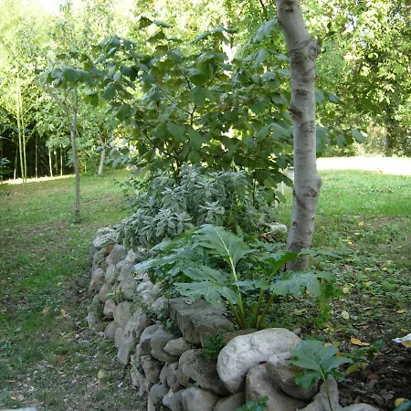 Dimora Dei Baccoli Holiday home